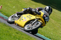 cadwell-no-limits-trackday;cadwell-park;cadwell-park-photographs;cadwell-trackday-photographs;enduro-digital-images;event-digital-images;eventdigitalimages;no-limits-trackdays;peter-wileman-photography;racing-digital-images;trackday-digital-images;trackday-photos